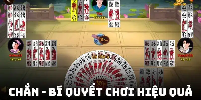 Chắn