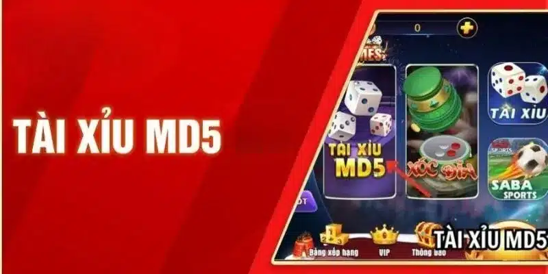 Tài Xỉu MD5 – Giải Mã Cách Chơi Hiệu Quả Và Chính Xác